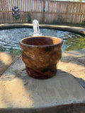 Large Oak Burl Hybrid Bowl